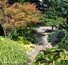 Three Dogs In A Garden Down The Garden Path Part 2 In 2020 Japanese Maple Rose Garden Design Garden Paths