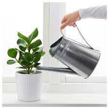 Ikea Socker Watering Can Galvanized Indoor Outdoor Watering Can Indoor Plant Pots Water Plants Indoor