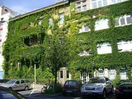 0163 / 78 35 432. Osteopathie Berlin Steglitz Wegweiser Aktuell
