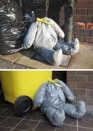 Image result for bin bag