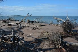 If you already have a blackrock online application username and password please use this section. Blackrock Beach Florida Hikes