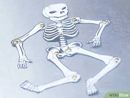 If the loading takes too long, you can learn more here. How To Make A Human Skeleton Out Of Paper 12 Steps