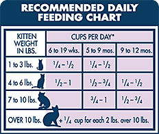 20 Systematic Cat Feeding Chart