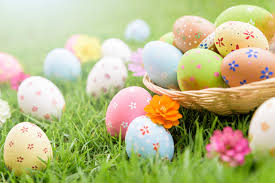 1.486 gratis afbeeldingen van vrolijk pasen. Afbeeldingen Pasen Eieren Gras Van Dichtbij