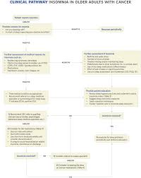 How Do I Best Manage Insomnia And Other Sleep Disorders In Older Adults With Cancer Journal Of Geriatric Oncology