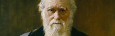 Darwin Didn't Discover Evolution or Natural Selection