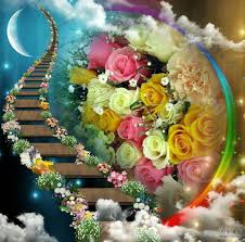 صور ورد وقلوب بوستات حب و رومانسية للفيس بوك Beautiful Gif Beautiful Flowers Flowers Gif