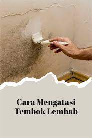 Wallpaper dinding menawarkan pesona yang lebih indah kalau dibandingkan dengan cat tembok. Cara Mengatasi Tembok Lembab 2mk Network