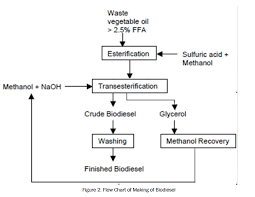 Biodiesel From Used Cooking Oil Future Potential Gold