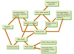 What is sustainable development and how to achieve it? Chapter 13 Non Renewable Resources Environmental Science