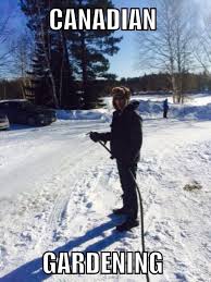 Canadian Gardening Canadianproblems Funny Winterwonderland Iceslide Canadianwinter Meme Awesomedad Winter C Canadian Winter Best Dad Winter Wonderland