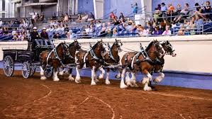 90th annual Kansas Biggest Rodeo