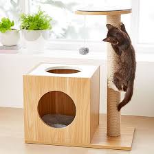 Cat Essentials Your New Kitty Checklist Kmart Cat Essentials Cat Supplies Cat Shop