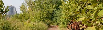 We did not find results for: Willow Lake Hiking Trails Nyc Parks