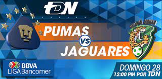 Jaguares vs hurricanes at estadio josé amalfitani 8th feb 2020. Eficiente A Fondo Cartel Pumas Vs Jaguares En Vivo Alarma Cuando Congestion