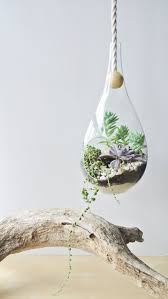 Etsy Blog Featured The Modern Dewdrop Hanging Planter Planter Diy Home Decor Gift Hanging Terrarium M Beautiful Terrariums Plants Succulent Terrarium