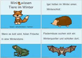 Miniwissen Tiere Im Winter Zaubereinmaleins Designblog Es wird auf jeden fall weitere blätter geben. zaubereinmaleins