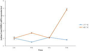 Bounding boxes with dimension priors and location prediction. Molecular Cloning Bioinformatics Analysis And Expression Of Small Heat Shock Protein Beta 1 From Camelus Dromedarius Arabian Camel