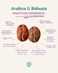 Image result for Coffea canephora