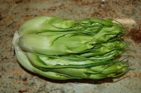 Puntarelle Wikipedia The Free Encyclopedia Chicory Asparagus Vegetable Seed