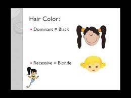 How Did I Get My Blonde Hair Mom Dominant And Recessive Genes Science P 310 How Do I Get Blonde Hair I Got This