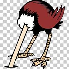 Download Creative Ostrich Png Images Creative Ostrich Clipart Free Download PSD Mockup Templates