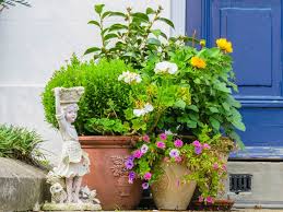 We did not find results for: Growing Plants In Pots And Containers Saga
