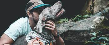 We did not find results for: Six Careers For Animal Science Majors