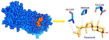 Image result for Tinnea antiscorbutica