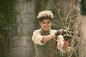 Amir Wilson In The Secret Garden 2020 In 2020 Secret Garden Garden Photo