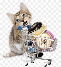Check spelling or type a new query. Pink Cat Png Images Pngwing