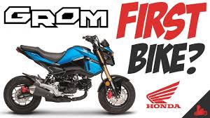 Honda Grom Good Beginner Motorcycle Youtube