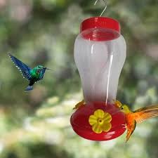 What should i look for in a hummingbird feeder? Bird Water Feeder Bottle Hanging Hummingbird Feeder Garden Outdoor Plastic Flower Iron Hook Bird Feeder For Outside Inside Sale Banggood Com