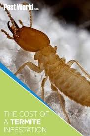 Bill's pest termite control helps residential and commercial property owners tackle their pest control and termite treatment problems with the best solutions. 73 Crestview Fl Pest Control Ideas Pest Control Crestview Fl Pests