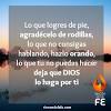 Contenido del artículo1 imágenes de dios con frases2 oraciones cristianas3 bendiciones de dios4 tarjetas con frases … 3