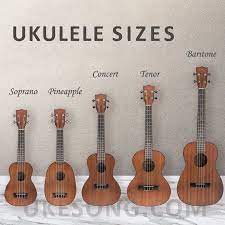 Undoubtedly, capsule coffee makers have achieved in a few years an important place in the market. Best Ukulele Strings In 2021 The Highest Rated Ukulele Strings