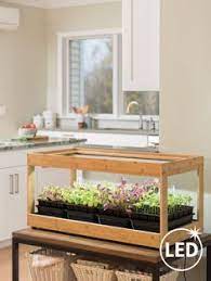 Soft drink bottles or kitchen supplies can also find a home nestled in the 8 individual areas of this striking shelf. 29 Micro Green Shelves Ideas Green Shelves Microgreens Herbs Indoors