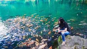 Harga tiket masuk paraland majalengka. Intip Mitos Dan Kisah Mistis 5 Objek Wisata Di Majalengka Bagian 1
