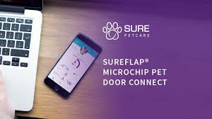 Cat doors allow your feline to come and go as they please. Sureflap Microchip Pet Door Connect Youtube