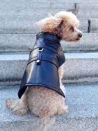 Lauren Faux Leather Dog Jacket Etsy Dog Jacket Black Faux Leather Jacket Leather