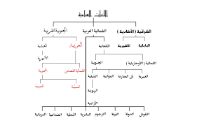 اللغة العربية الصفحة 5