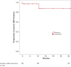 One can also use an aortic cuff, which has a maximum diameter of 36 mm. Use Of Bilateral Cook Zenith Iliac Branch Devices To Preserve Internal Iliac Artery Flow During Endovascular Aneurysm Repair European Journal Of Vascular And Endovascular Surgery