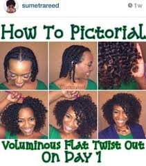 Pin By Cantu Beauty On Pictorials Natural Hair Twist Out Natural Hair Twists Damp Hair Styles