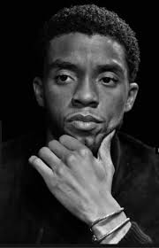 Black Panther Actors And Actresses 