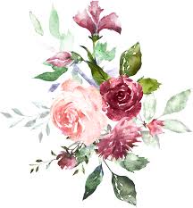 Ultimate fruit, cheese, crackers, & nuts tray. Download H804 Floral Illustrations Mom Birthday Rose Design Illustration Flowers Png Image With No Background Pngkey Com