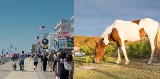 We curate thousands of ocean city vacation houses, condos, and cabins for rent so you don't have to! Wild Horses Boardwalk Fun At Campgrounds Near Ocean City Maryland