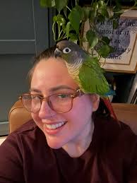 Any tips for training a reactive dog?