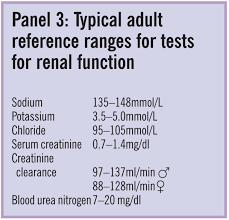 Image result for Renal Function