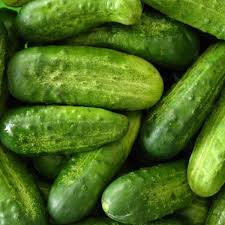 Image result for Cucumis engleri