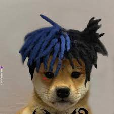 Gamerpics 1080x1080 doge wit hat images, similar and related articles aggregated throughout the internet. á´…á´É¢ ÉªÉ´sÉªá´…á´‡ á´›Êœá´‡ É¢á´€É´É¢ On Instagram Dogwifhatgang Dogwifhat Dog Icon Scooby Doo Pictures Dog Wallpaper